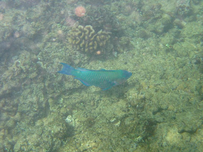 Picture 072